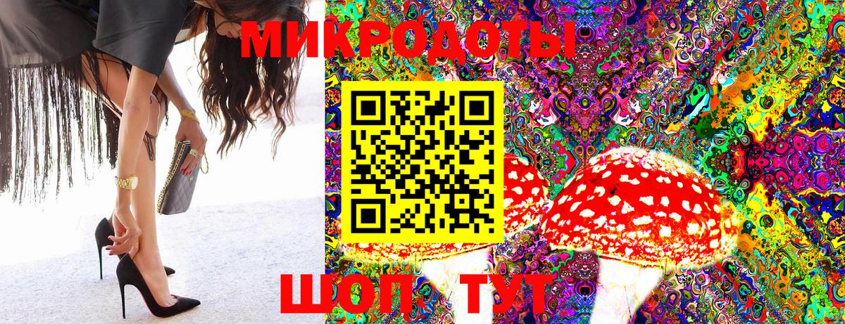 Севастополь  Псилоцибиновые грибы GOLDEN TEACHER  Вход с VPN  Галлюциногенные грибы Magic Shrooms 